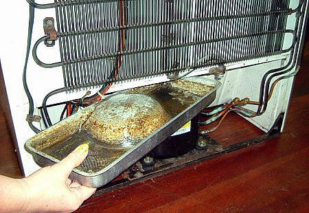 Different Ways to Remove or Clean Water from Refrigerator's Water Drip Pan